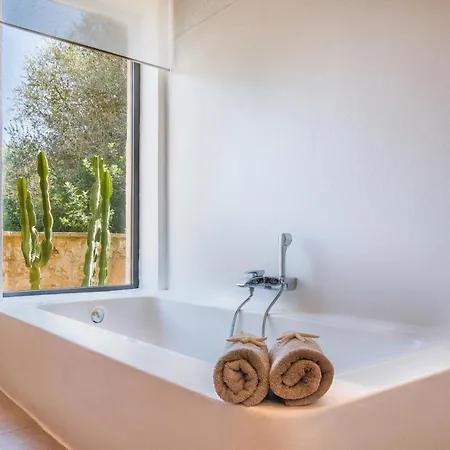 Finca Taconera Holiday home