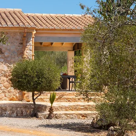 Finca Taconera Holiday home